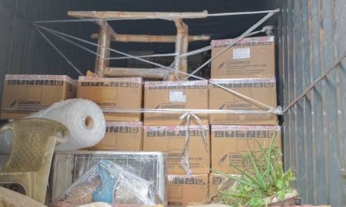 Household carton boxes and house plants neatly arranged and tied inside a truck by movers and packers