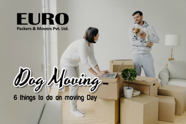 dog-moving-point-remember