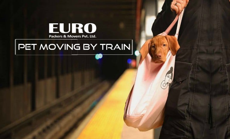 Pet-moving-by-train